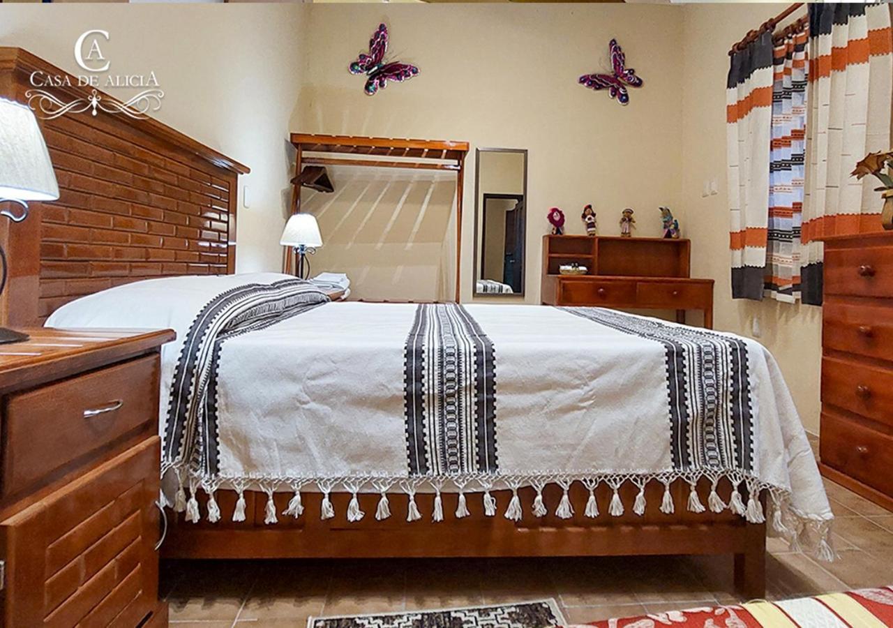オアハカ州Casa De Alicia Departamento Yagulアパートメント エクステリア 写真